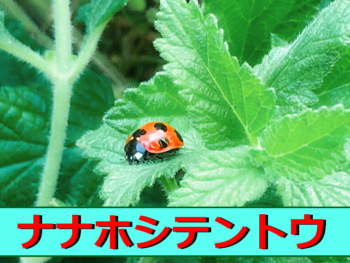 Thumbnail of post image 015